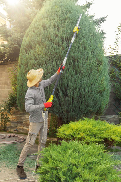 Best Lawn Watering Services  in Havelock, NC